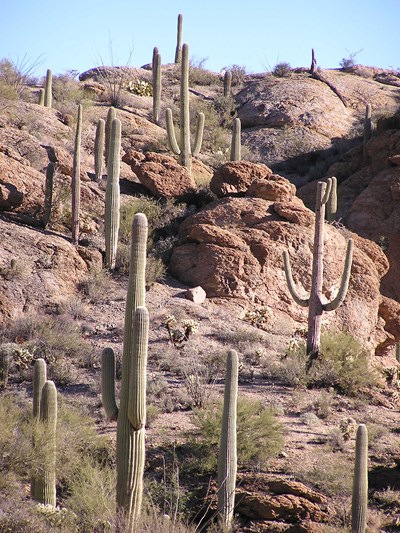 Arizona-2003 021
